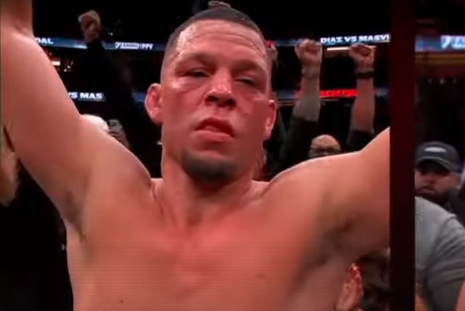 The Total Number Of Diaz and Masvidal Punches Thrown Is Obscene