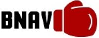 boxing news and views favicon logo