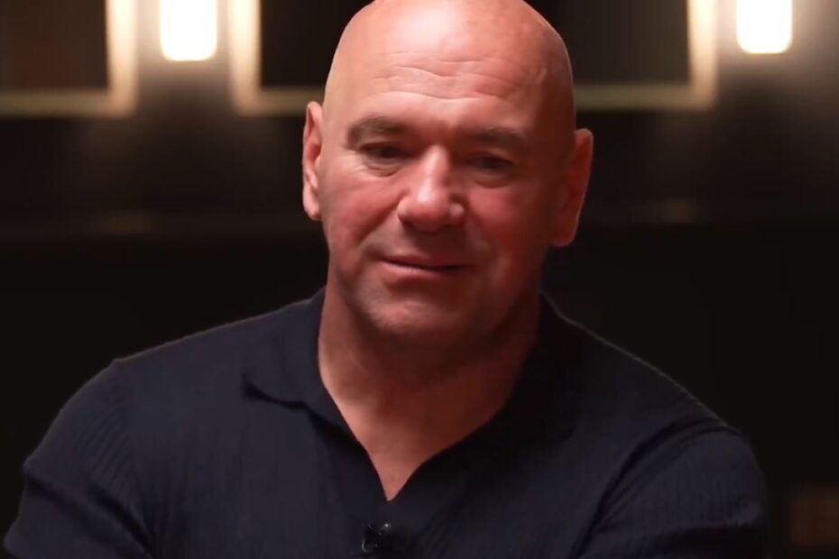 Dana White Reacts To Jake Paul Calling Out UFC Champion To Boxing Match