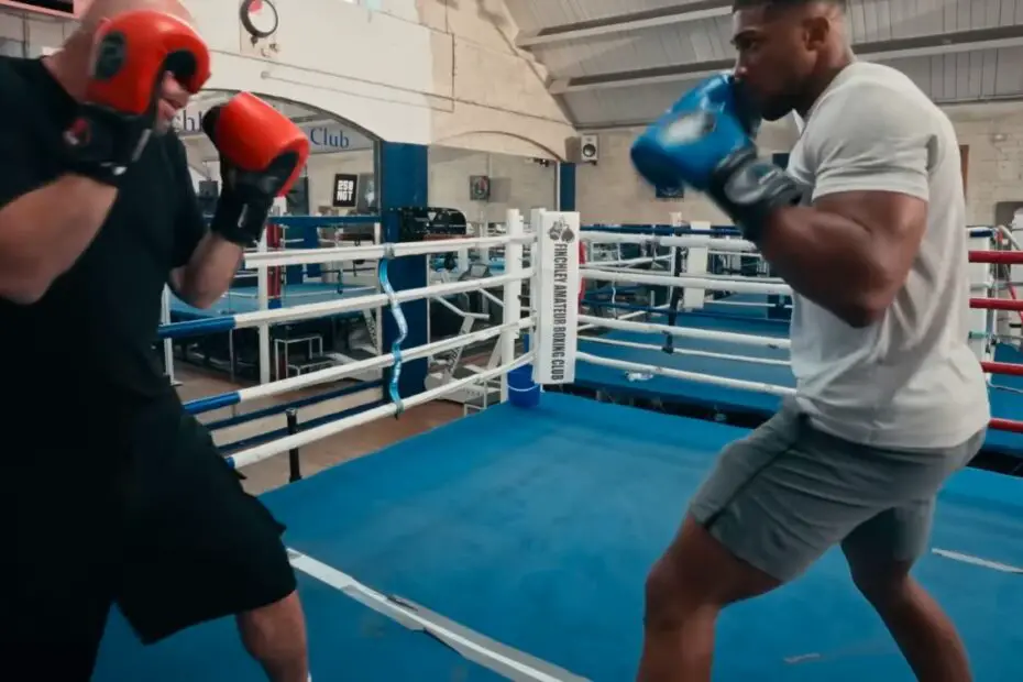 Anthony Joshua Spars A Comedian