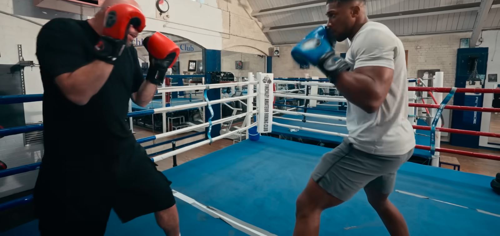 Anthony Joshua Spars A Comedian