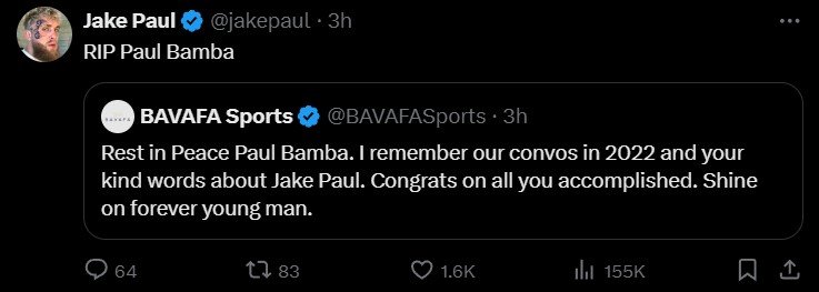 Boxing Promoters, Jake Paul, Commentators, KSI and More React To Sudden Death Of 35-Year-Old Boxer 4 paul 2