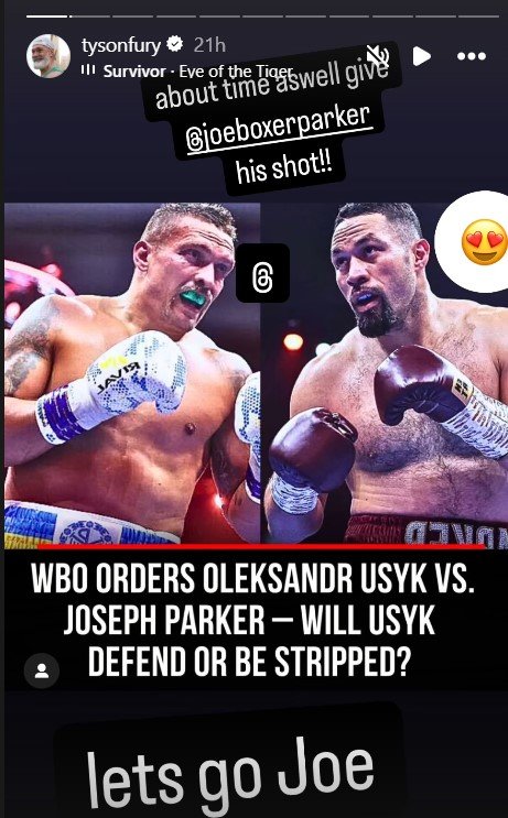 parker vs usyk
